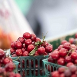 Temporada de frutos rojos en Andalucía