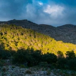 Destinos de Ecoturismo en Andalucía y sus productos locales
